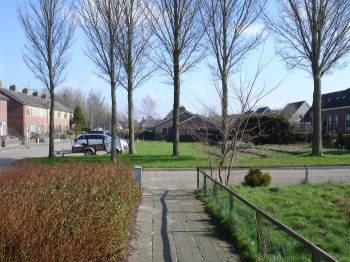 dgj_df129.jpg