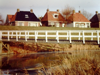 dgj_df136.jpg