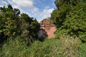 gbalj_df148.jpg