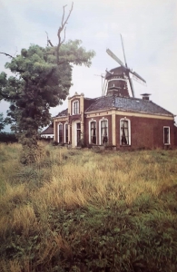 gbmo_df054.jpg
