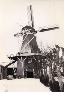gbmo_df057.jpg