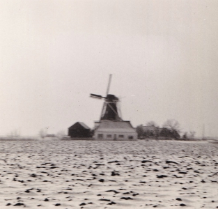 gbmo_df058.jpg