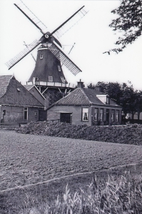 gbmo_df060.jpg