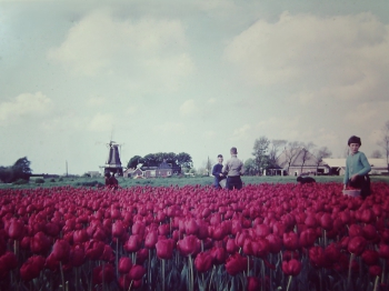lbl_tul_df028.jpg
