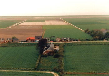 luw_df003.jpg