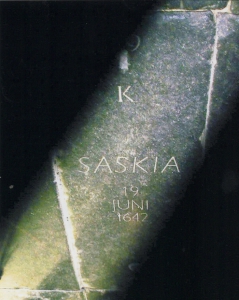 po505.jpg