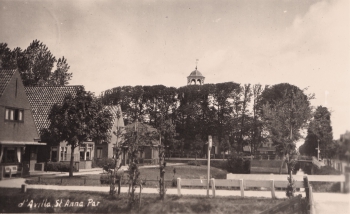 sta_dav_df003.jpg