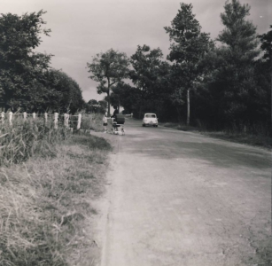 sta_lhw_df020.jpg