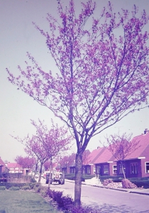 sta_rbr_df002.jpg