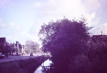 sta_shw_df083.jpg