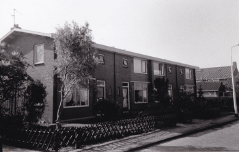 stj_cbh003.jpg