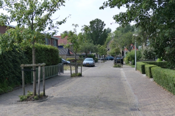 stj_cbh_df005.jpg