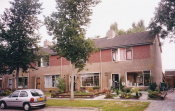 stj_gsw021.jpg