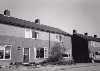stj_gtu004.jpg