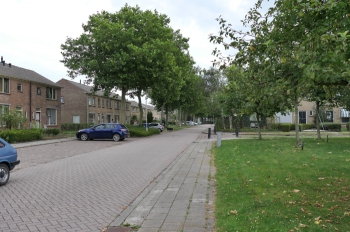 stj_gvh_df006.jpg
