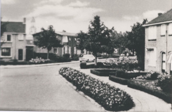 stj_hfp005.jpg