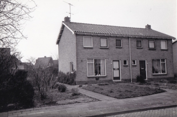 stj_hfp006.jpg