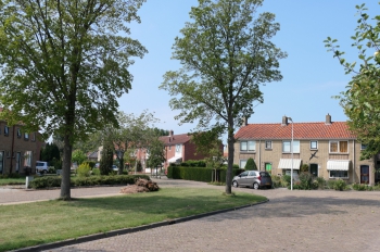 stj_hfp_df006.jpg