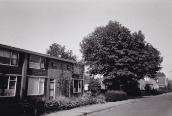 stj_hfs010.jpg