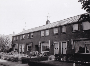 stj_hfs011.jpg
