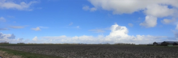 stj_kow_df009.jpg