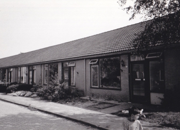 stj_nja004.jpg