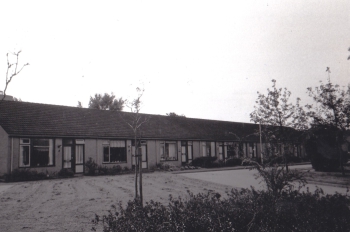 stj_nja006.jpg