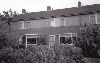 stj_nja007.jpg