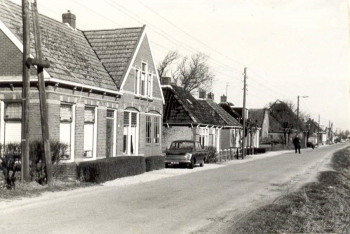 stj_obd_df033.jpg