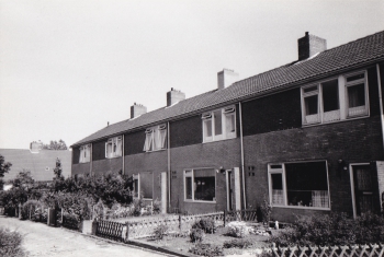 stj_wgv016.jpg