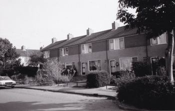 stj_wgv017.jpg