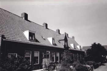 stj_wgv020.jpg