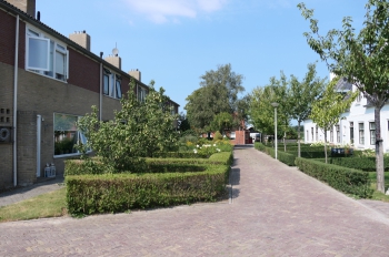 stj_wgv_df011.jpg
